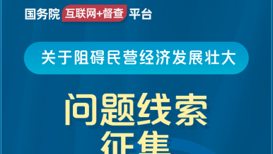 求肏国务院“互联网+督查”平台公开征集阻碍民营经济发展壮大问题线索